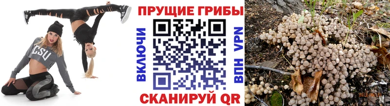 Галлюциногенные грибы мицелий Бабаево