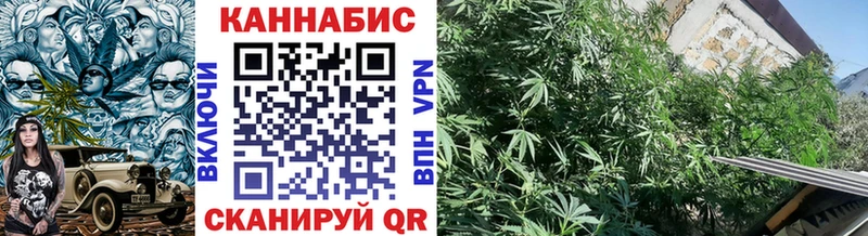 Бошки марихуана OG Kush  Купить где  Бабаево 
